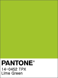MORFI | “Pantone revealed the colors we will see everywhere …. in 2018